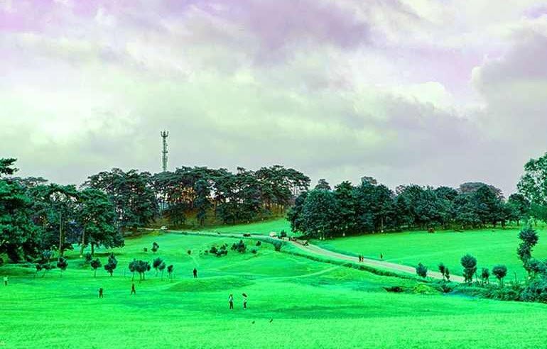 Shillong Golf Course, East Khasi Hills, Meghalaya - Vushii.com Shillong Golf Course, East Khasi Hills, Meghalaya - Vushii.com